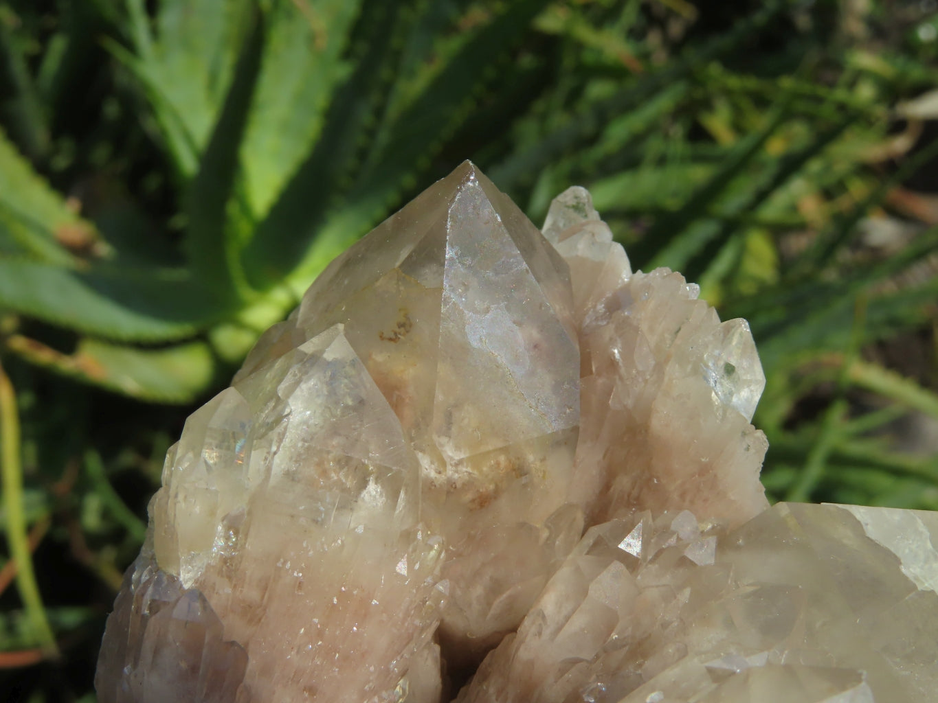 Natural Smokey Phantom Quartz Clusters x 2 From Lwena, Congo - TopRock