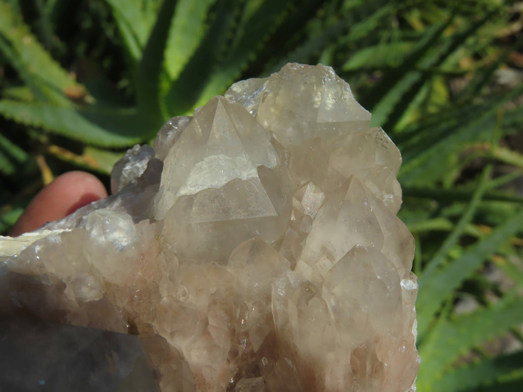Natural Smokey Phantom Quartz Clusters x 2 From Lwena, Congo - TopRock