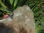 Natural Smokey Phantom Quartz Clusters x 2 From Lwena, Congo - TopRock