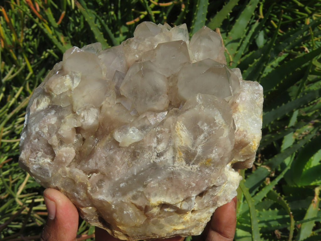 Natural Smokey Phantom Quartz Clusters x 2 From Lwena, Congo - TopRock