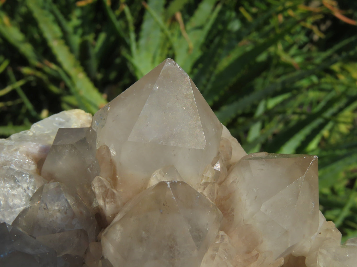 Natural Smokey Phantom Quartz Clusters x 2 From Lwena, Congo - TopRock