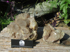 Natural Smokey Phantom Quartz Clusters x 2 From Lwena, Congo - TopRock