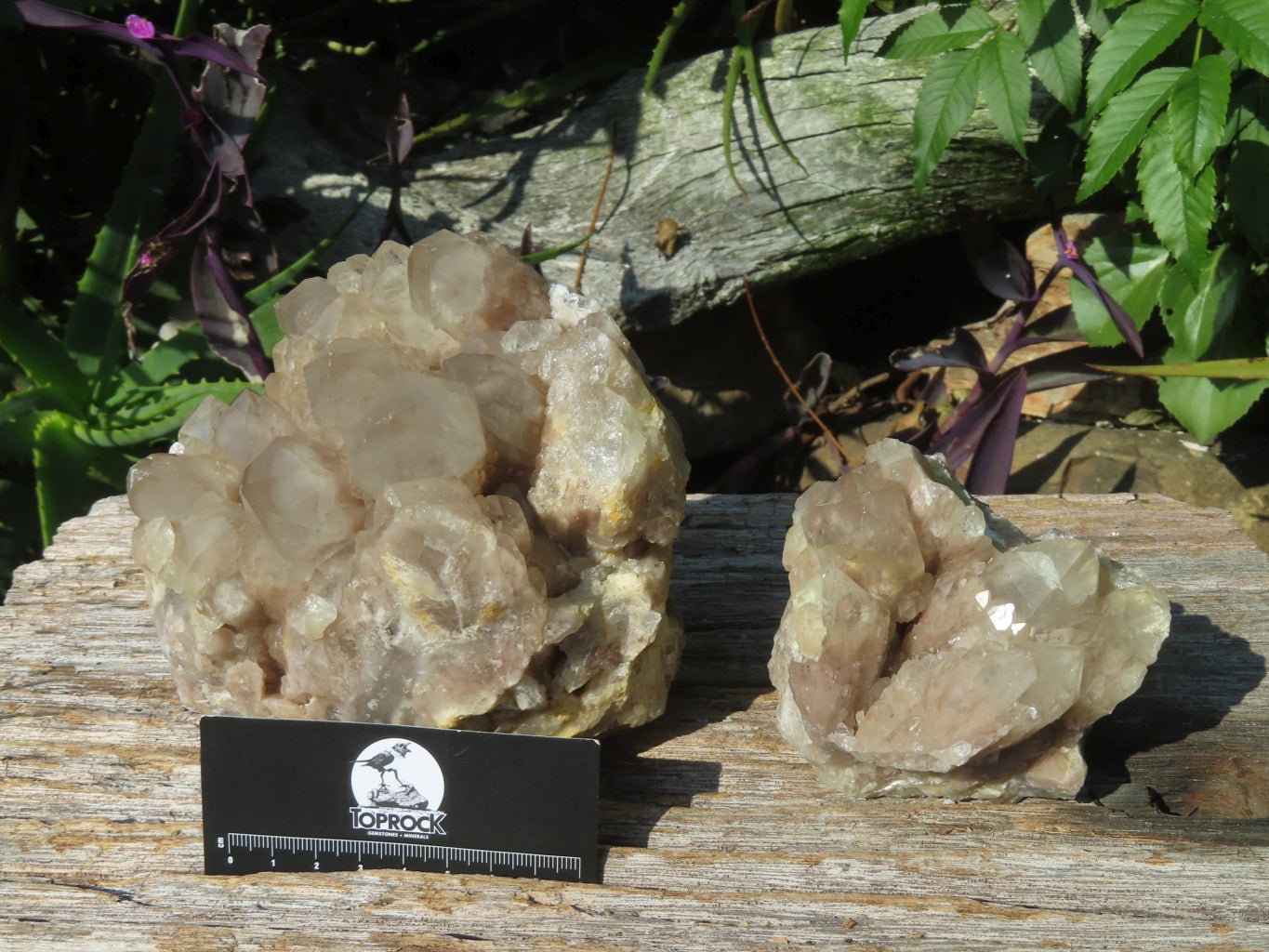 Natural Smokey Phantom Quartz Clusters x 2 From Lwena, Congo - TopRock