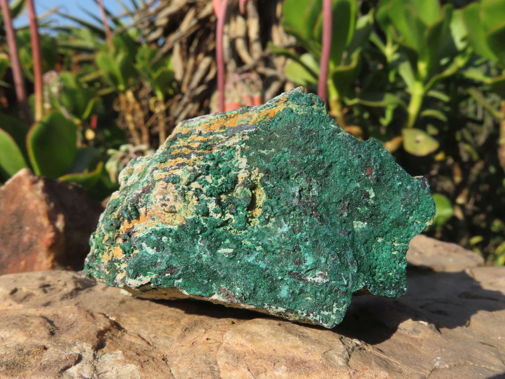 Natural Malachite Crystalline Specimens x 6 From Tenke Fungurume, Congo - TopRock