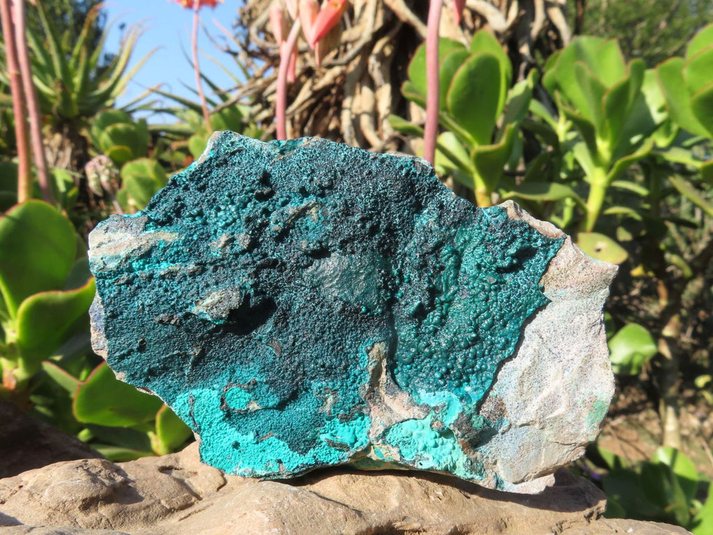 Natural Malachite Crystalline Specimens x 6 From Tenke Fungurume, Congo - TopRock