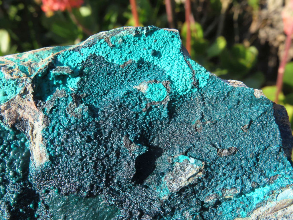 Natural Malachite Crystalline Specimens x 6 From Tenke Fungurume, Congo - TopRock