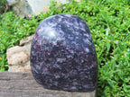 Polished Lepidolite Standing Free Forms x 2 From Zimbabwe - TopRock