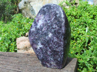 Polished Lepidolite Standing Free Forms x 2 From Zimbabwe - TopRock