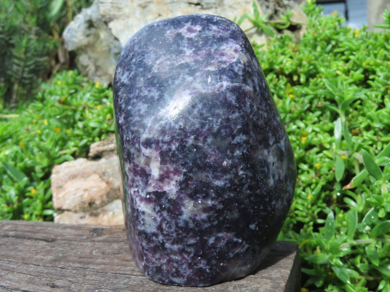 Polished Lepidolite Standing Free Forms x 2 From Zimbabwe - TopRock