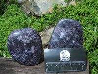 Polished Lepidolite Standing Free Forms x 2 From Zimbabwe - TopRock