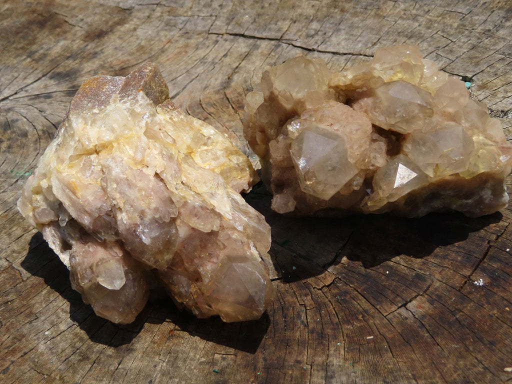 Natural Smokey Phantoms Clusters x 2 From Lwena, Congo - TopRock