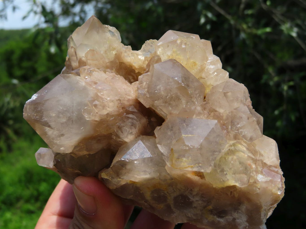 Natural Smokey Phantoms Clusters x 2 From Lwena, Congo - TopRock