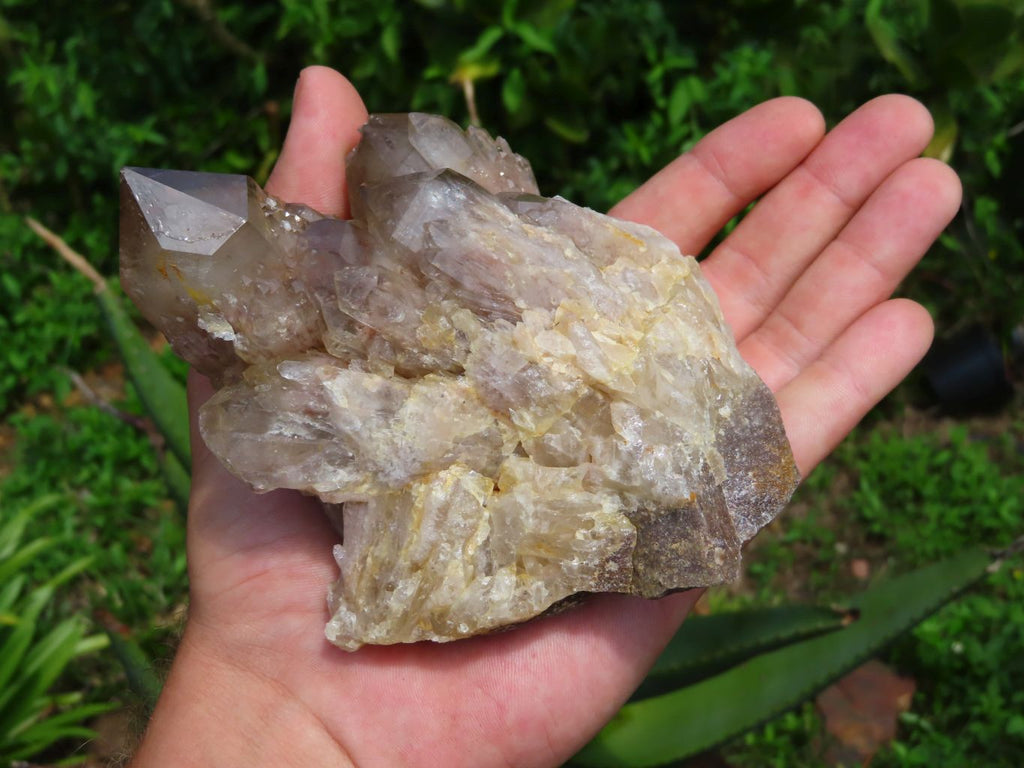 Natural Smokey Phantoms Clusters x 2 From Lwena, Congo - TopRock