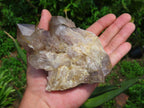 Natural Smokey Phantoms Clusters x 2 From Lwena, Congo - TopRock