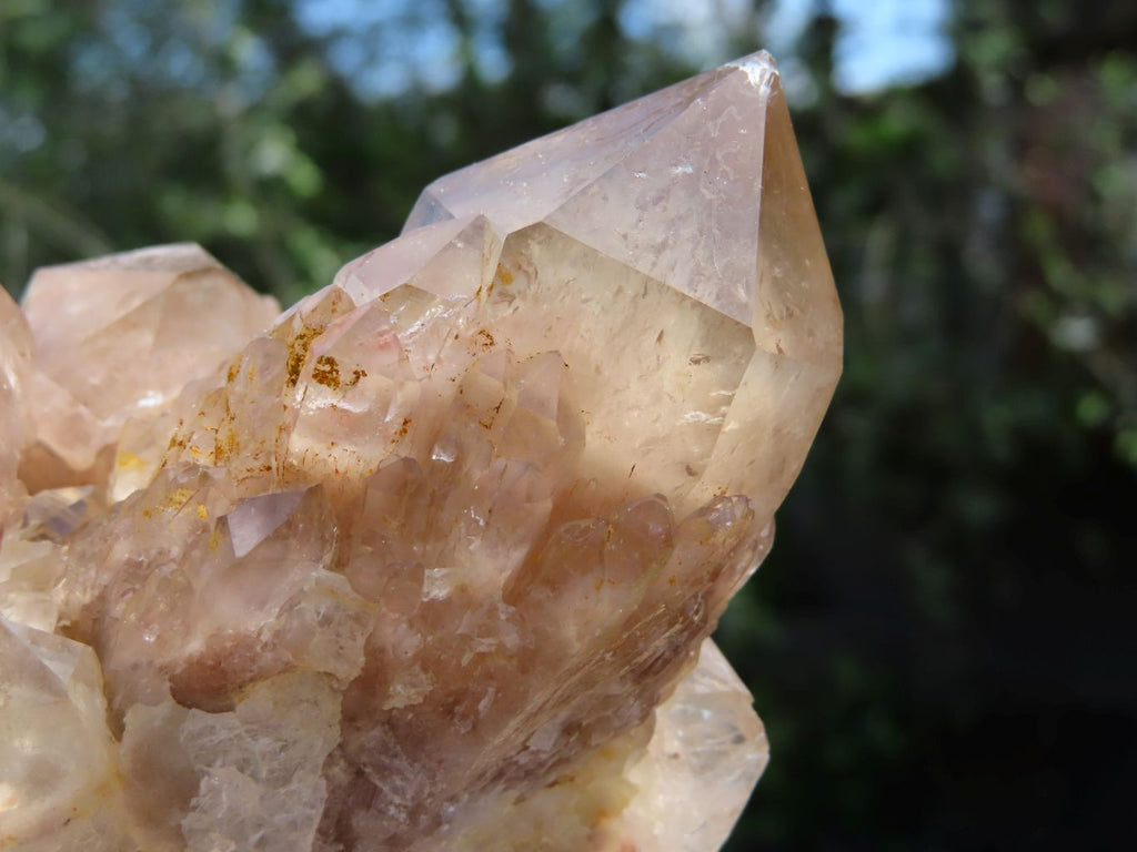 Natural Smokey Phantoms Clusters x 2 From Lwena, Congo - TopRock