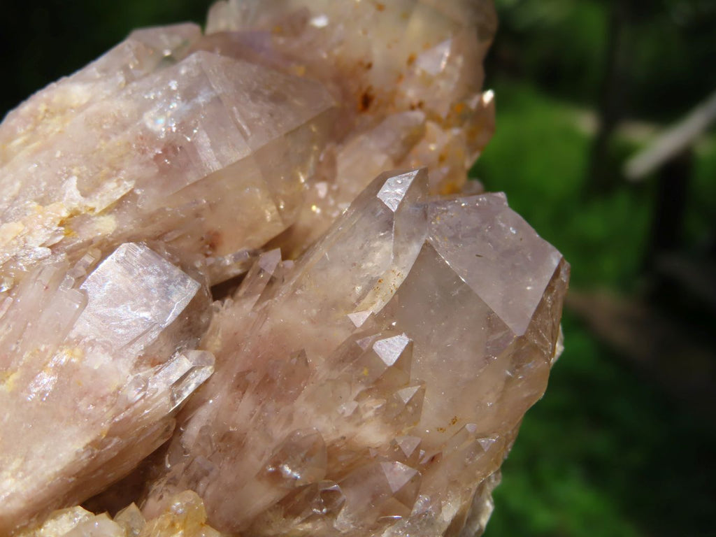 Natural Smokey Phantoms Clusters x 2 From Lwena, Congo - TopRock