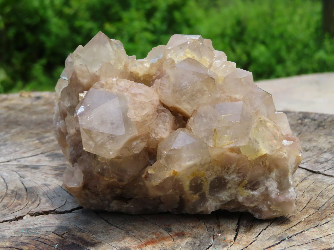 Natural Smokey Phantoms Clusters x 2 From Lwena, Congo - TopRock