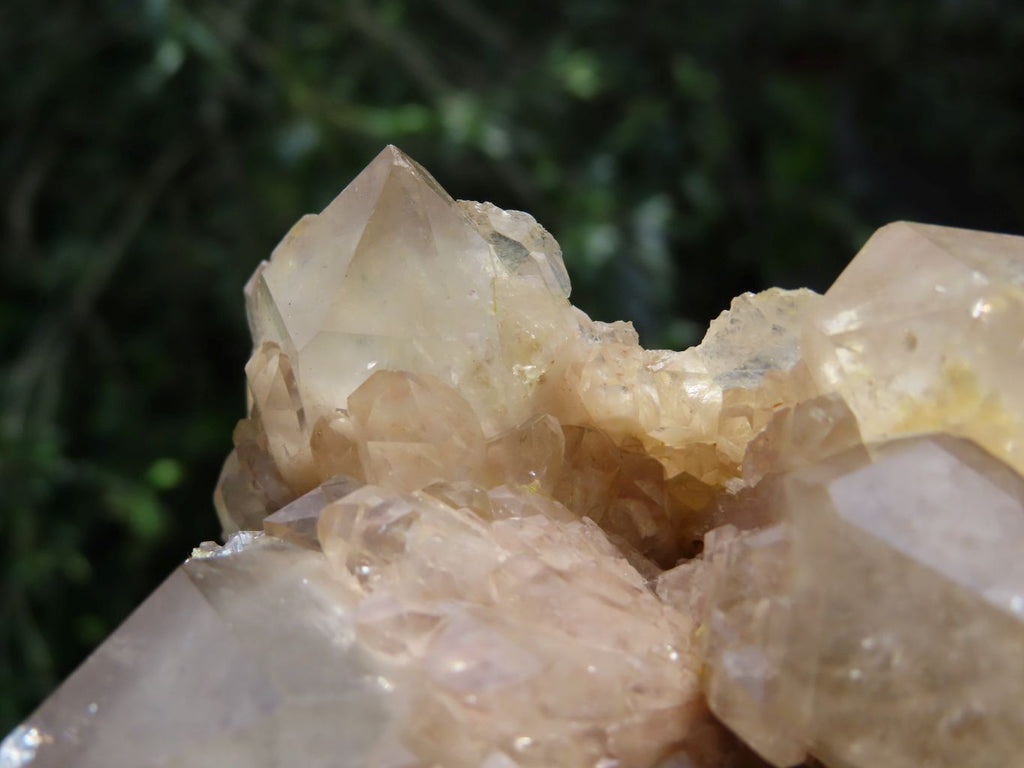 Natural Smokey Phantoms Clusters x 2 From Lwena, Congo - TopRock
