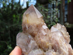 Natural Smokey Phantoms Clusters x 2 From Lwena, Congo - TopRock