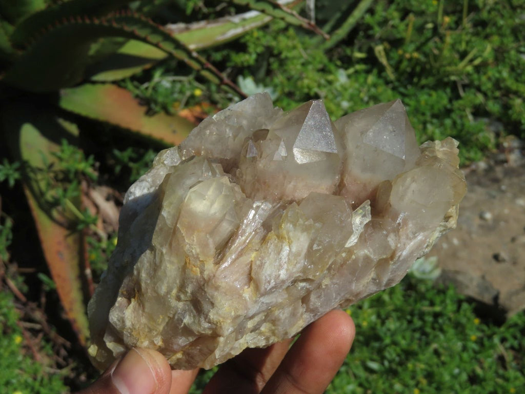 Natural Smokey Phantom Clusters x 2 From Lwena, Congo - TopRock