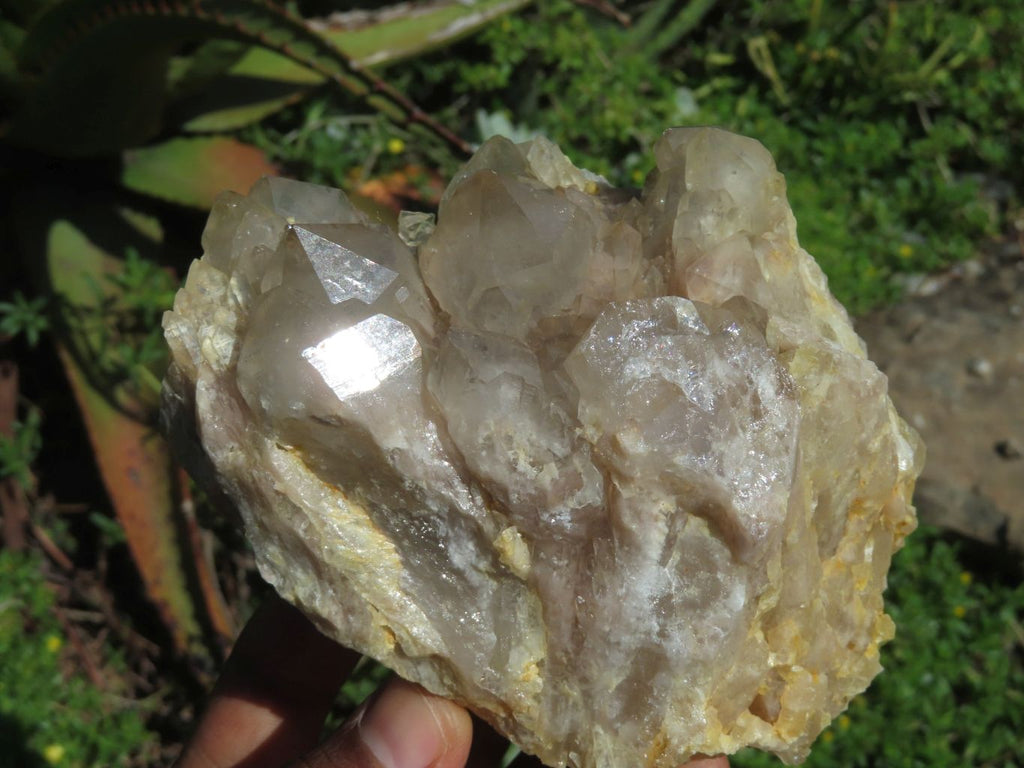 Natural Smokey Phantom Clusters x 2 From Lwena, Congo - TopRock