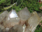 Natural Smokey Phantom Clusters x 2 From Lwena, Congo - TopRock