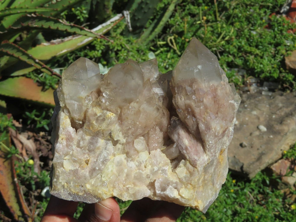 Natural Smokey Phantom Clusters x 2 From Lwena, Congo - TopRock