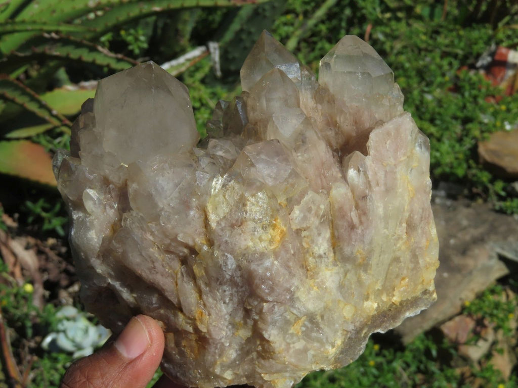 Natural Smokey Phantom Clusters x 2 From Lwena, Congo - TopRock