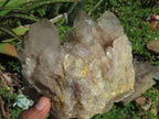 Natural Smokey Phantom Clusters x 2 From Lwena, Congo - TopRock