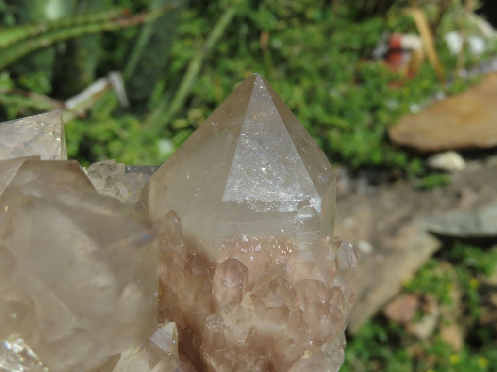 Natural Smokey Phantom Clusters x 2 From Lwena, Congo - TopRock