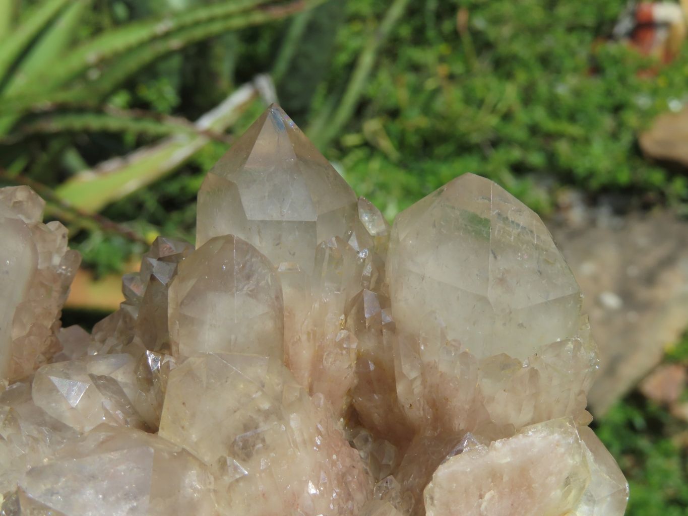 Natural Smokey Phantom Clusters x 2 From Lwena, Congo - TopRock