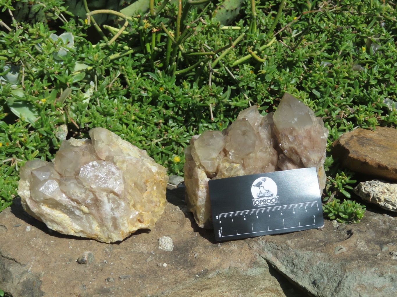 Natural Smokey Phantom Clusters x 2 From Lwena, Congo - TopRock