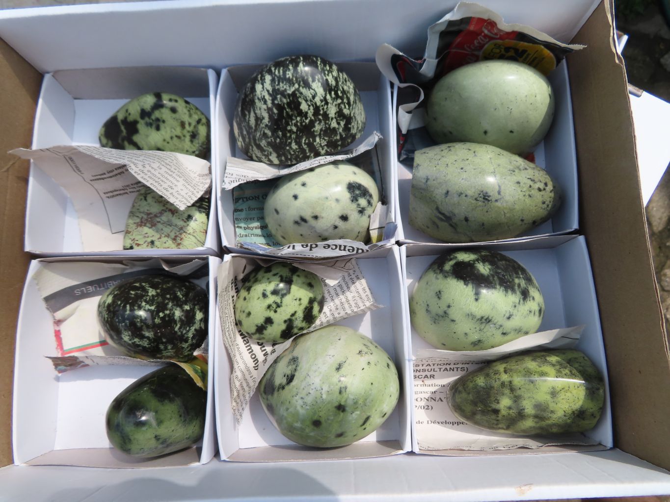 Polished Leopard Stone Standing Free Forms x 12 From Nyanga & Shamva, Zimbabwe - TopRock