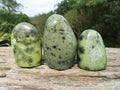 Polished Leopard Stone Standing Free Forms x 12 From Nyanga & Shamva, Zimbabwe - TopRock