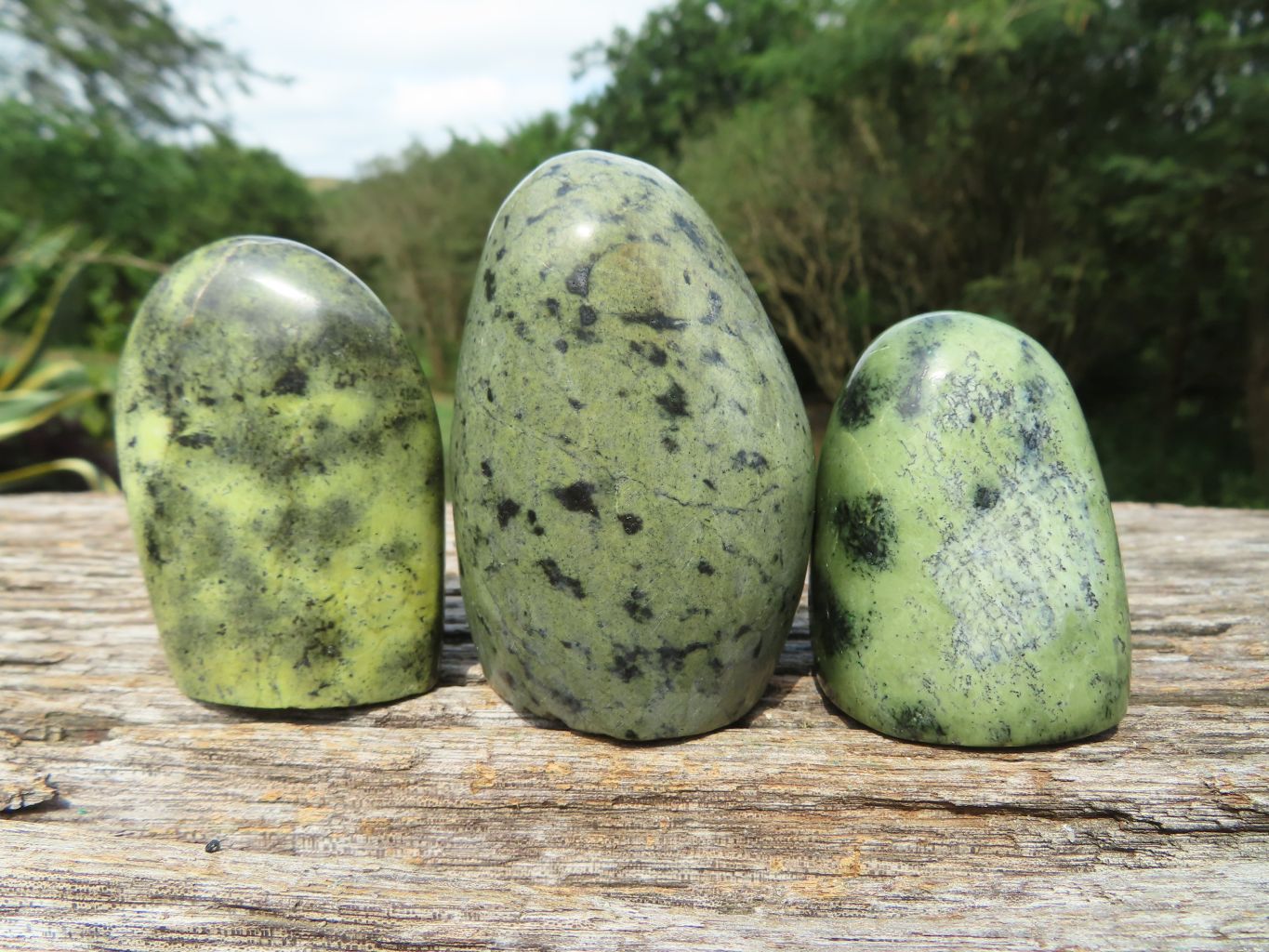 Polished Leopard Stone Standing Free Forms x 12 From Nyanga & Shamva, Zimbabwe - TopRock
