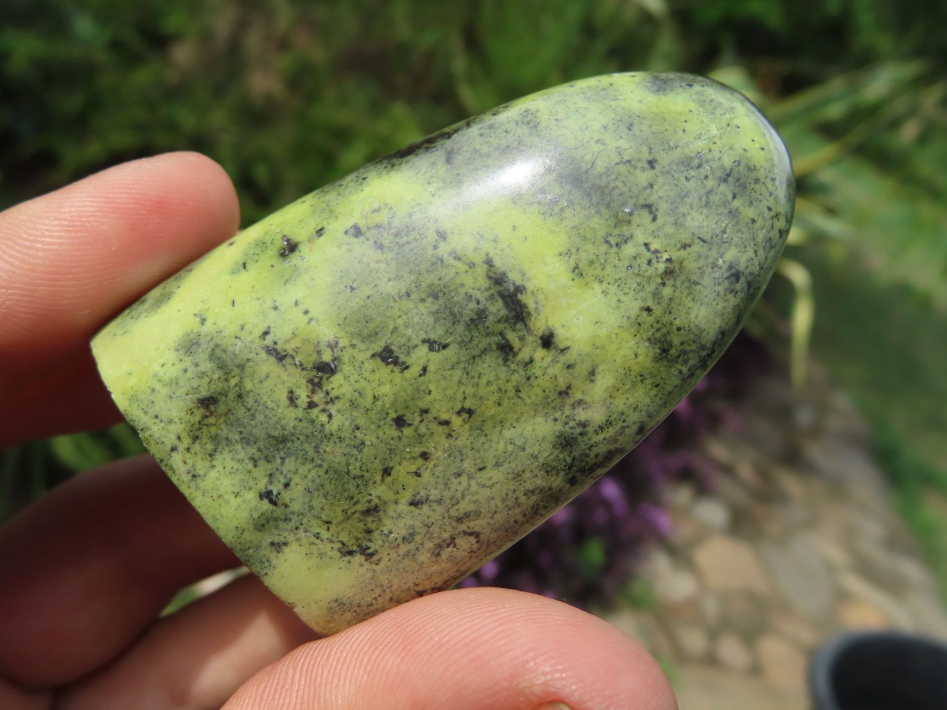 Polished Leopard Stone Standing Free Forms x 12 From Nyanga & Shamva, Zimbabwe - TopRock