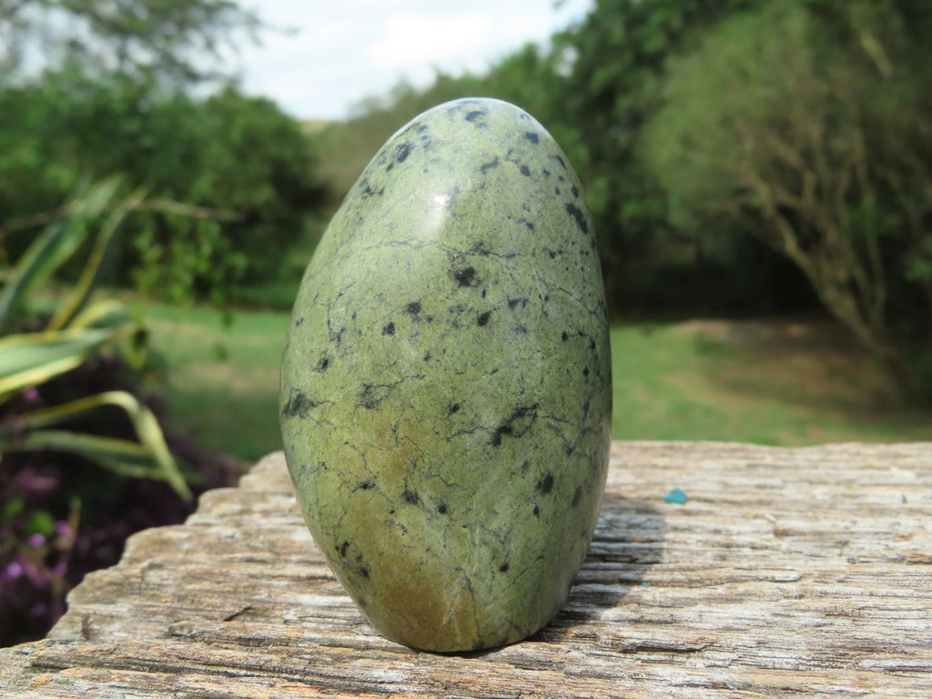 Polished Leopard Stone Standing Free Forms x 12 From Nyanga & Shamva, Zimbabwe - TopRock