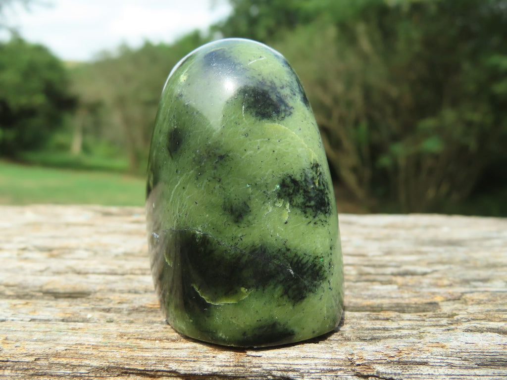 Polished Leopard Stone Standing Free Forms x 12 From Nyanga & Shamva, Zimbabwe - TopRock