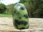 Polished Leopard Stone Standing Free Forms x 12 From Nyanga & Shamva, Zimbabwe - TopRock