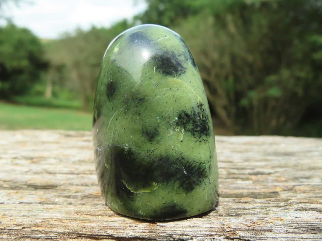 Polished Leopard Stone Standing Free Forms x 12 From Nyanga & Shamva, Zimbabwe - TopRock