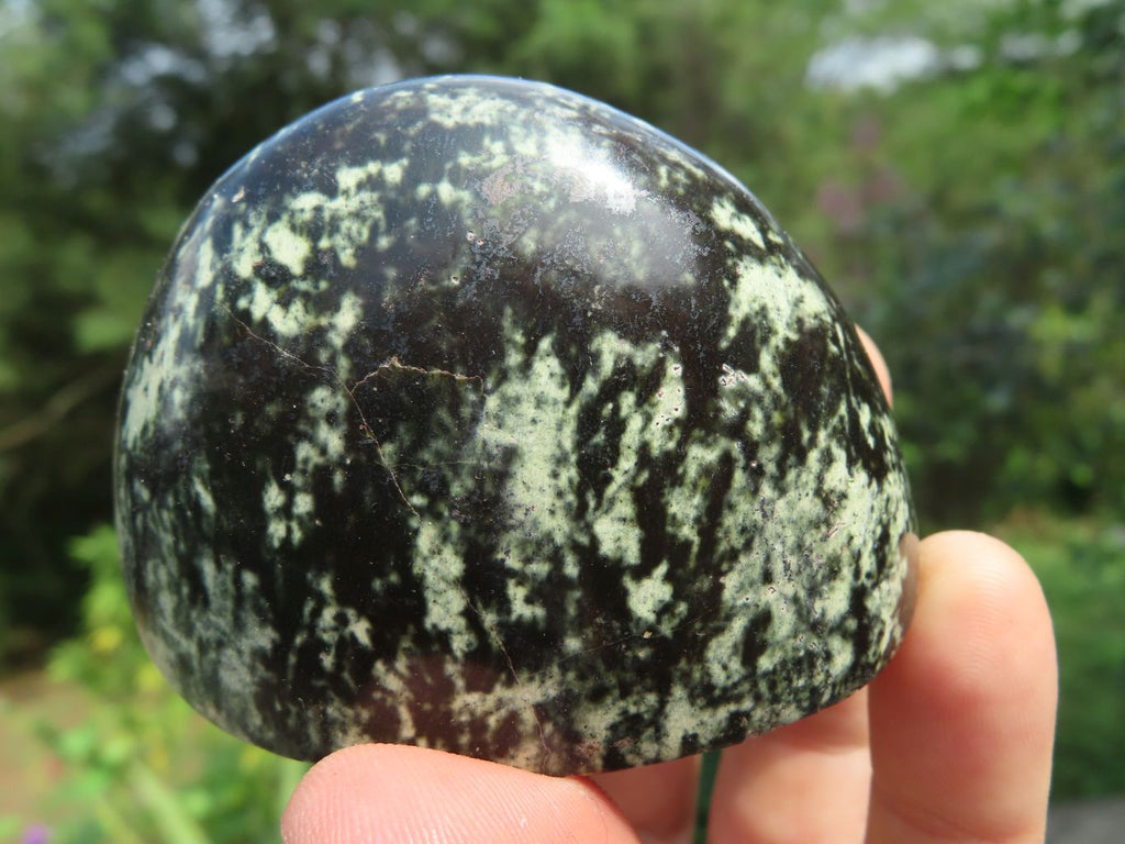Polished Leopard Stone Standing Free Forms x 12 From Nyanga & Shamva, Zimbabwe - TopRock