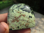 Polished Leopard Stone Standing Free Forms x 12 From Nyanga & Shamva, Zimbabwe - TopRock