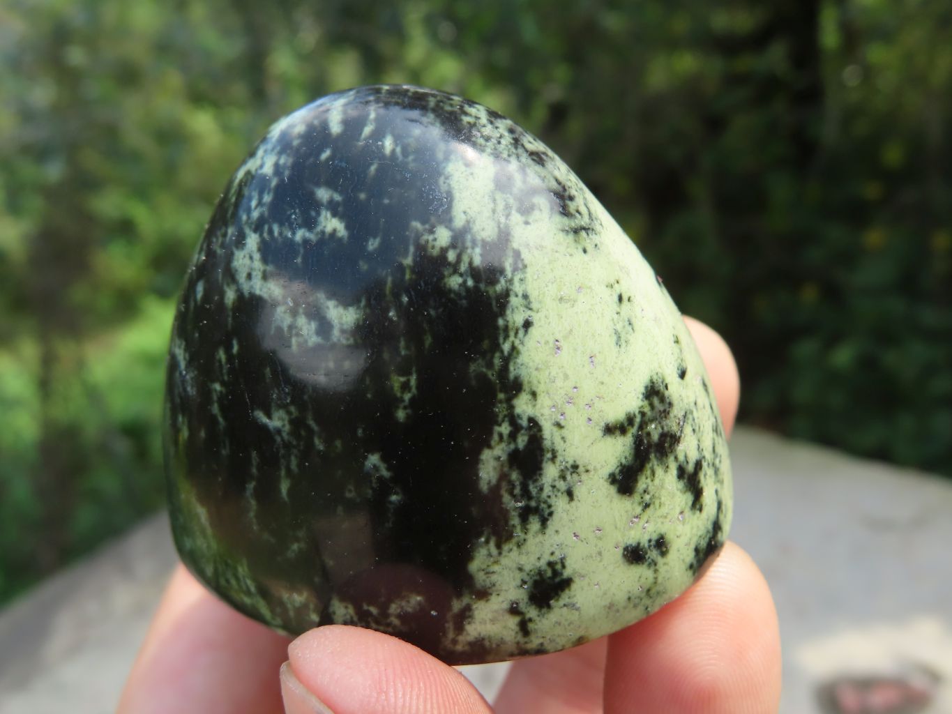 Polished Leopard Stone Standing Free Forms x 12 From Nyanga & Shamva, Zimbabwe - TopRock