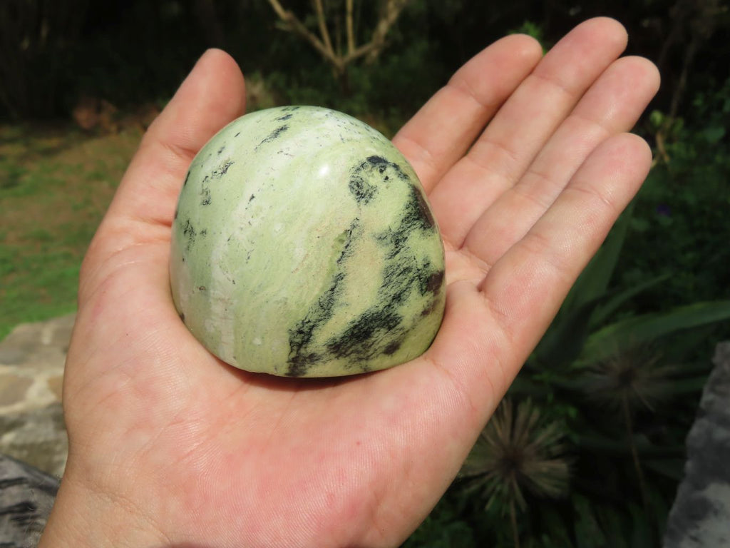 Polished Leopard Stone Standing Free Forms x 12 From Nyanga & Shamva, Zimbabwe - TopRock