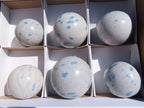 Polished Blue Spotted Spinel Spheres x 6 From Madagascar - TopRock