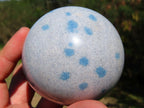 Polished Blue Spotted Spinel Spheres x 6 From Madagascar - TopRock