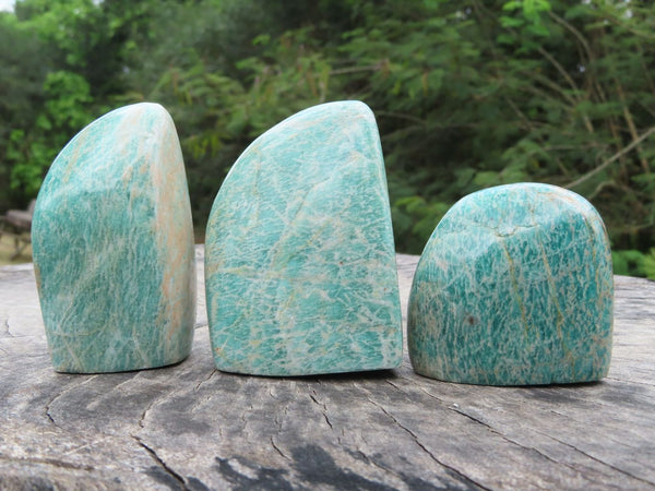 Polished Amazonite Standing Free Forms & Free Forms x 12 From Zimbabwe - TopRock