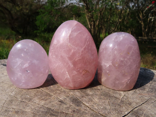 Polished Rose Quartz Standing Free Forms x 6 From Madagascar - TopRock