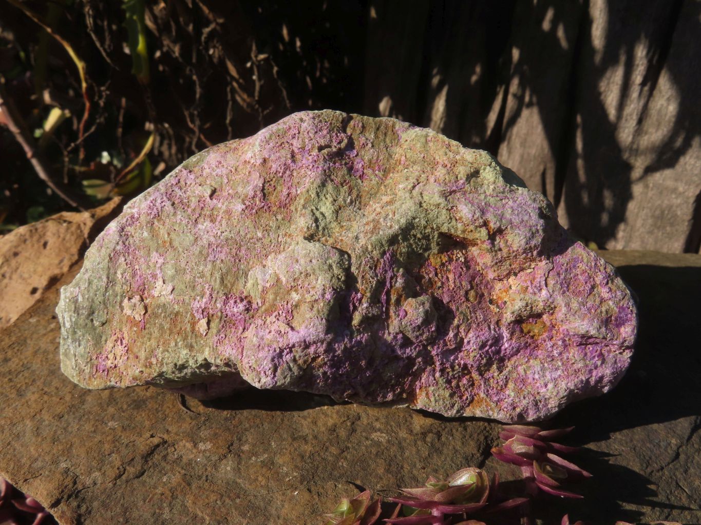 Natural Stichtite & Serpentine Specimens x 6 From Barberton, South Africa - TopRock