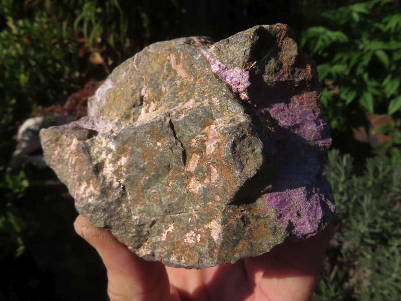 Natural Stichtite & Serpentine Specimens x 6 From Barberton, South Africa - TopRock